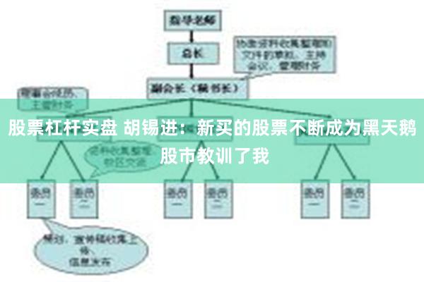 股票杠杆实盘 胡锡进：新买的股票不断成为黑天鹅 股市教训了我