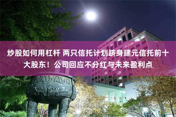 炒股如何用杠杆 两只信托计划跻身建元信托前十大股东！公司回应不分红与未来盈利点