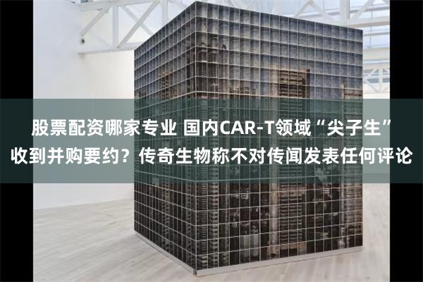 股票配资哪家专业 国内CAR-T领域“尖子生”收到并购要约？传奇生物称不对传闻发表任何评论