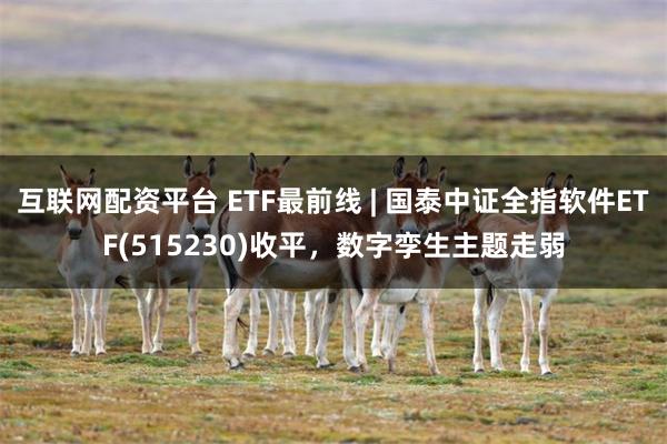 互联网配资平台 ETF最前线 | 国泰中证全指软件ETF(515230)收平，数字孪生主题走弱