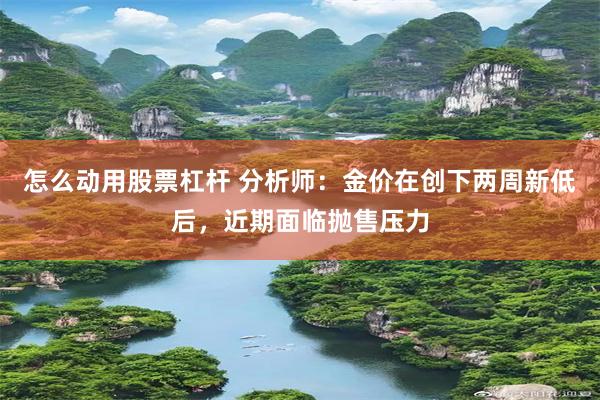 怎么动用股票杠杆 分析师：金价在创下两周新低后，近期面临抛售压力