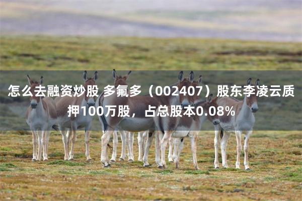 怎么去融资炒股 多氟多（002407）股东李凌云质押100万股，占总股本0.08%