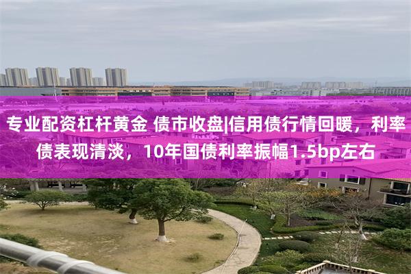 专业配资杠杆黄金 债市收盘|信用债行情回暖，利率债表现清淡，10年国债利率振幅1.5bp左右