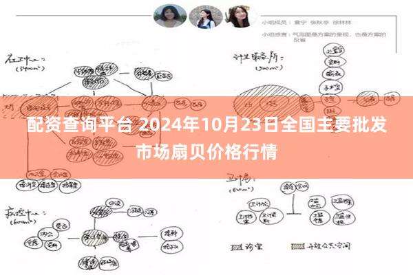 配资查询平台 2024年10月23日全国主要批发市场扇贝价格行情