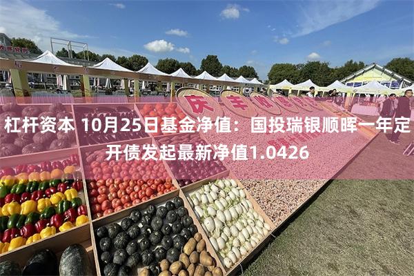 杠杆资本 10月25日基金净值：国投瑞银顺晖一年定开债发起最新净值1.0426