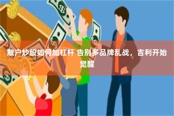 散户炒股如何加杠杆 告别多品牌乱战，吉利开始觉醒