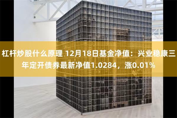 杠杆炒股什么原理 12月18日基金净值：兴业稳康三年定开债券最新净值1.0284，涨0.01%