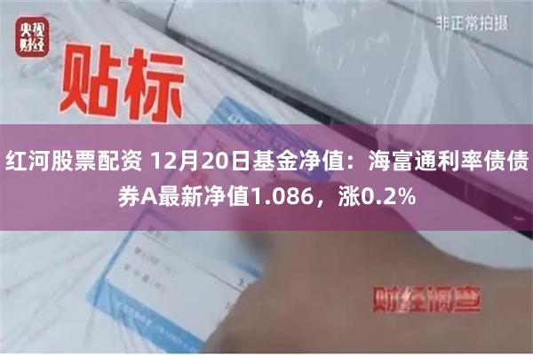 红河股票配资 12月20日基金净值：海富通利率债债券A最新净值1.086，涨0.2%