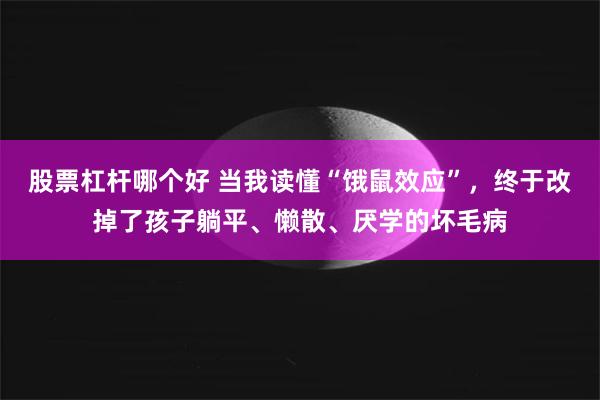 股票杠杆哪个好 当我读懂“饿鼠效应”，终于改掉了孩子躺平、懒散、厌学的坏毛病