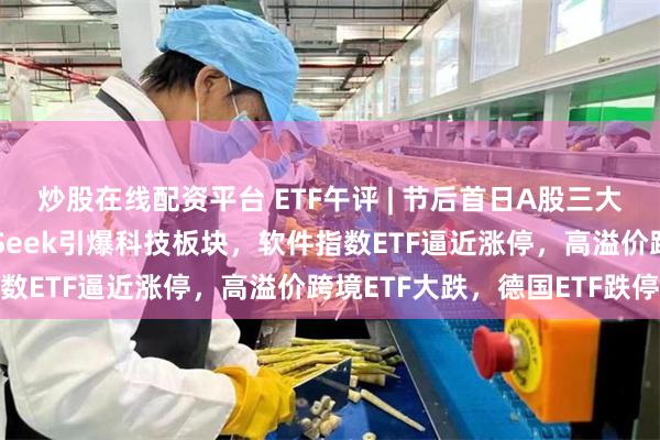 炒股在线配资平台 ETF午评 | 节后首日A股三大指数涨跌不一，DeepSeek引爆科技板块，软件指数ETF逼近涨停，高溢价跨境ETF大跌，德国ETF跌停