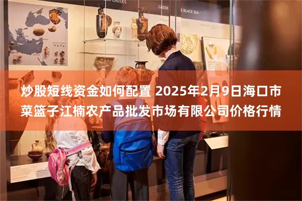 炒股短线资金如何配置 2025年2月9日海口市菜篮子江楠农产品批发市场有限公司价格行情