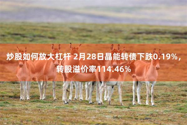 炒股如何放大杠杆 2月28日晶能转债下跌0.19%，转股溢价率114.46%