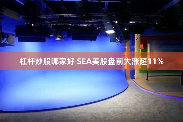 杠杆炒股哪家好 SEA美股盘前大涨超11%