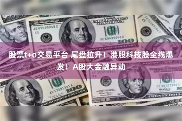 股票t+o交易平台 尾盘拉升！港股科技股全线爆发！A股大金融异动